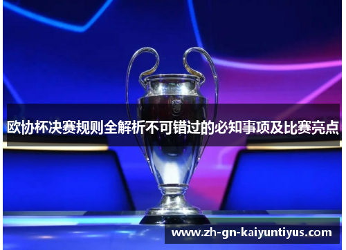 欧协杯决赛规则全解析不可错过的必知事项及比赛亮点 欧协杯决赛规则全解析不可错过的必知事项及比赛亮点