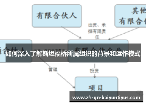 如何深入了解斯坦福桥所属组织的背景和运作模式
